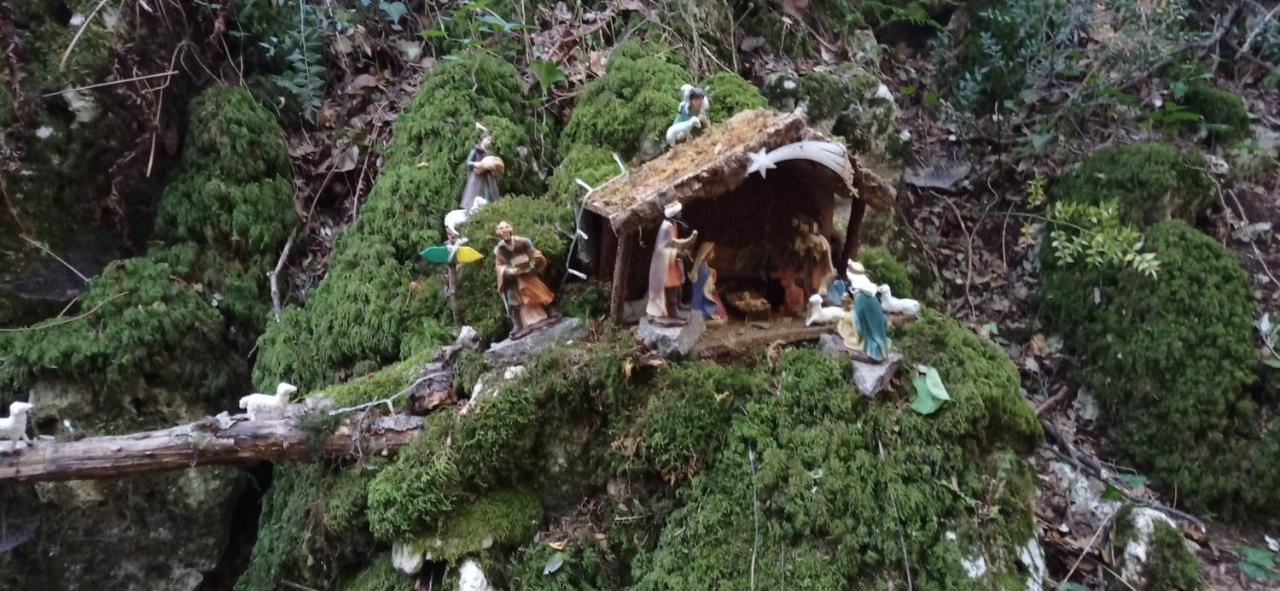 Dimora Pianelle Acomodação com café da manhã Crispiano Exterior foto