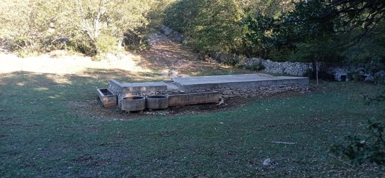 Dimora Pianelle Acomodação com café da manhã Crispiano Exterior foto